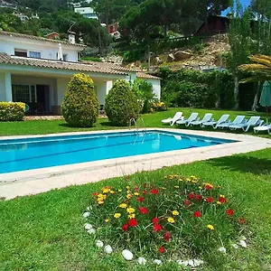 Max Lloret de Mar